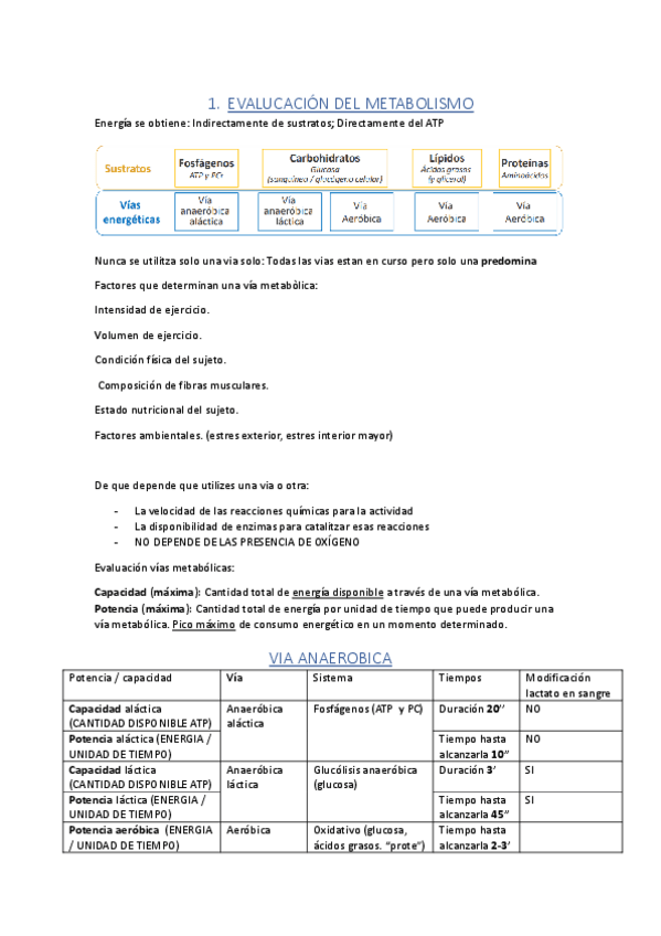 Miniatura del documento 1-metabolismo.pdf
