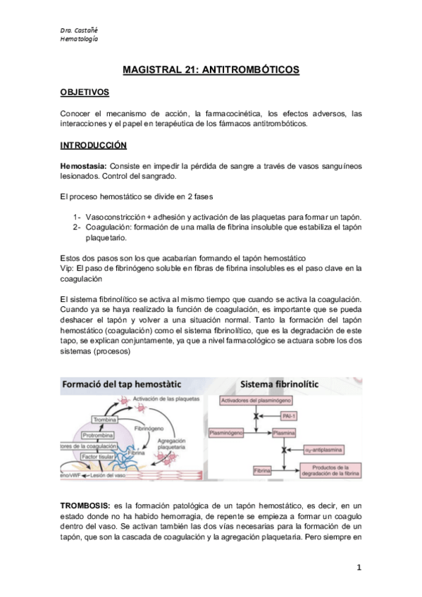 Miniatura del documento M21.pdf