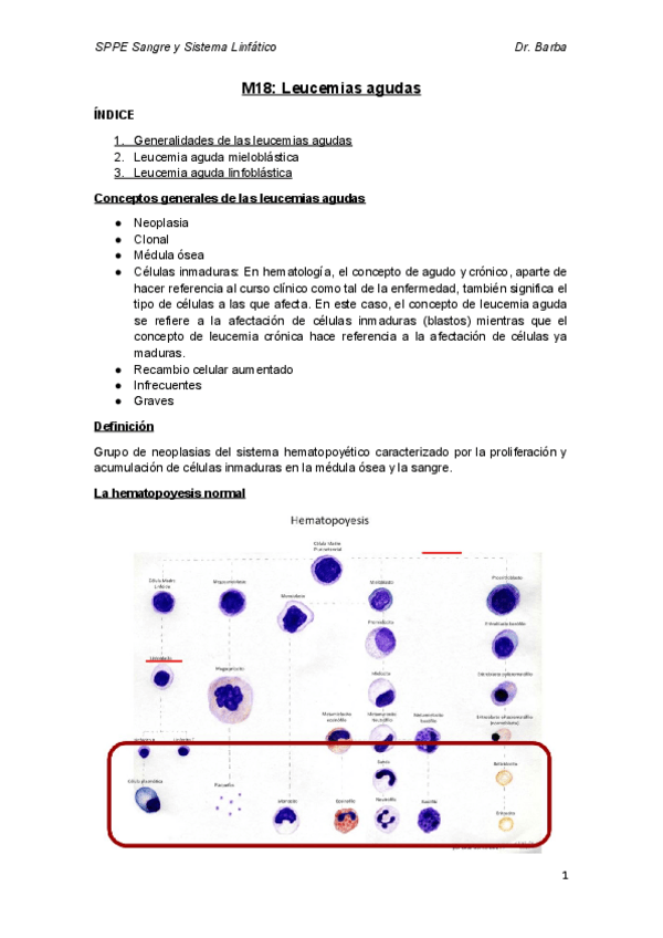 Miniatura del documento M18.docx.pdf