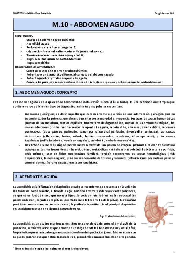 Miniatura del documento M10.-ABDOMEN-AGUDO.pdf