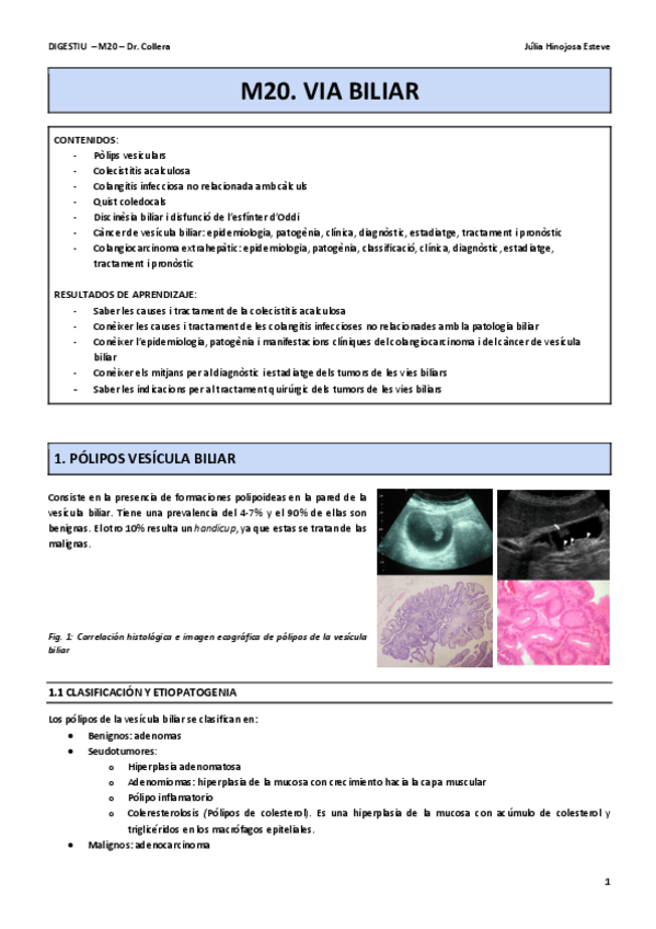 Miniatura del documento M20-vo-cast.pdf