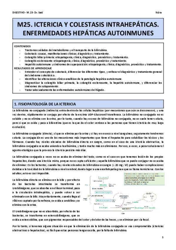 Miniatura del documento M25.pdf
