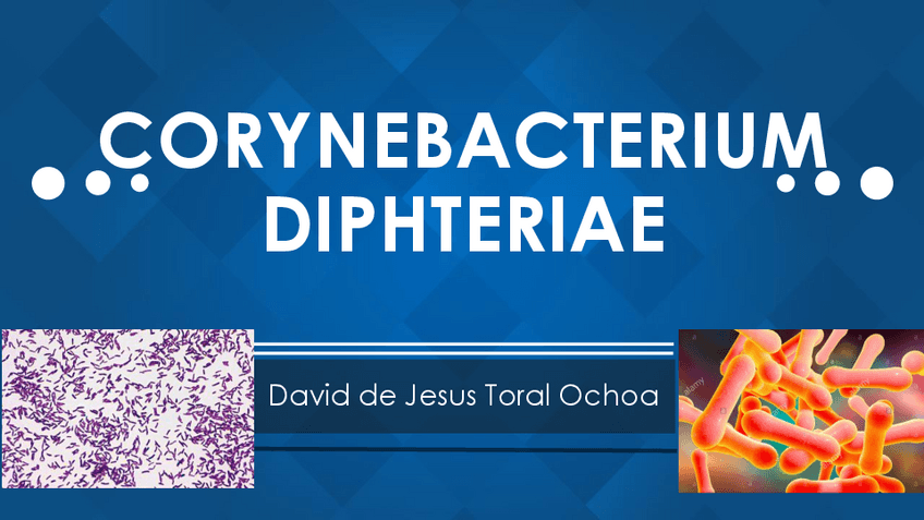 Miniatura del documento Corynebacterium-Diphteriare.pdf