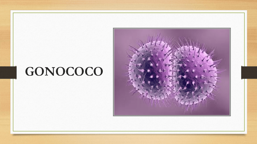 Miniatura del documento Gonococo.pdf
