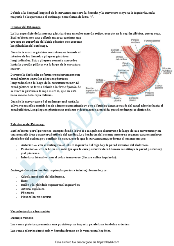 Miniatura del documento Anatomia-04merged-2.pdf