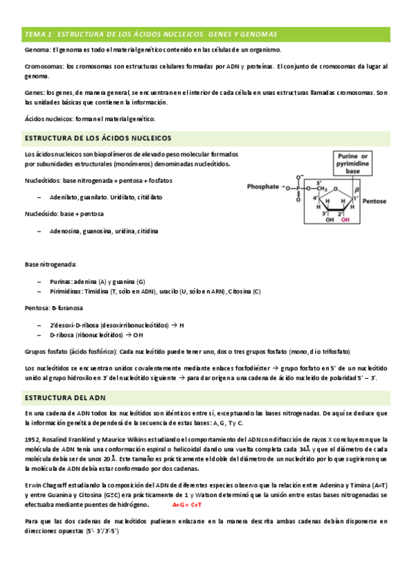 Miniatura del documento APUNTES-GENETICA-tema-1-7.pdf