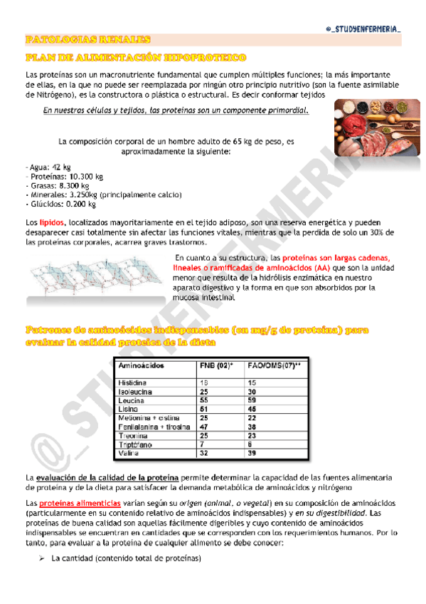 Miniatura del documento PATOLOGIAS-RENALES.pdf