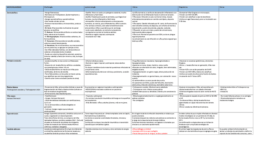 Miniatura del documento Tabla-hongos.pdf