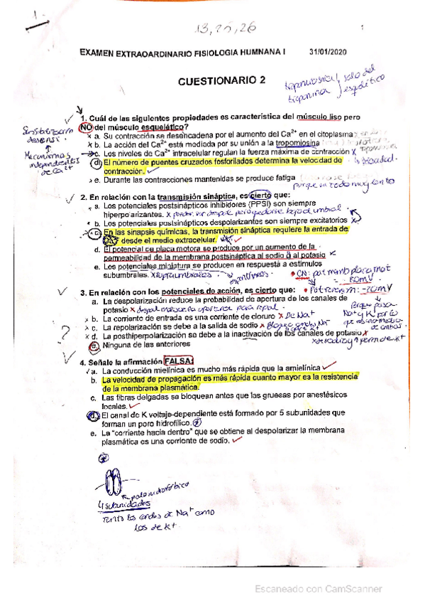 Miniatura del documento Extraordinario-1.pdf