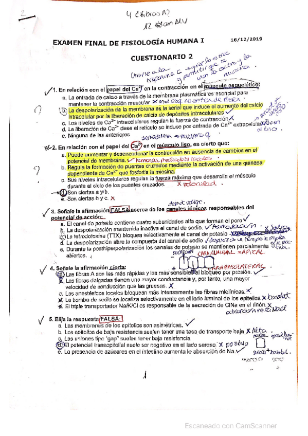 Miniatura del documento Extraordinario-2.pdf