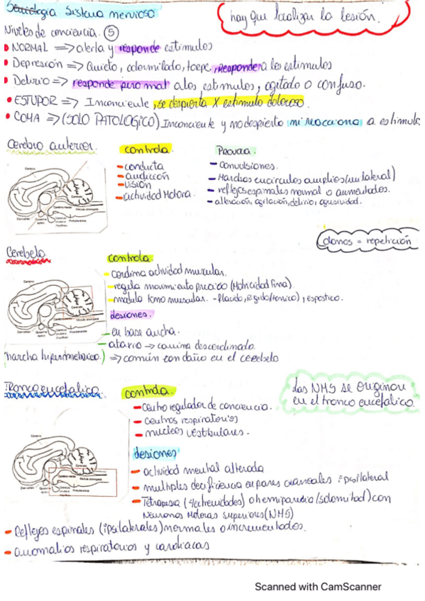 Miniatura del documento Semiologia-Sistema-Nervioso.pdf