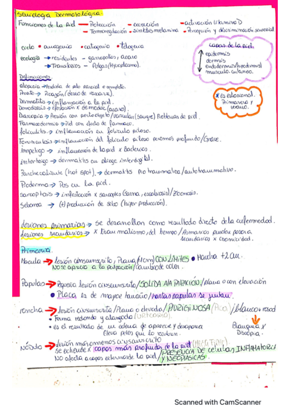 Miniatura del documento Semiologia-dermatologica-Menor.pdf