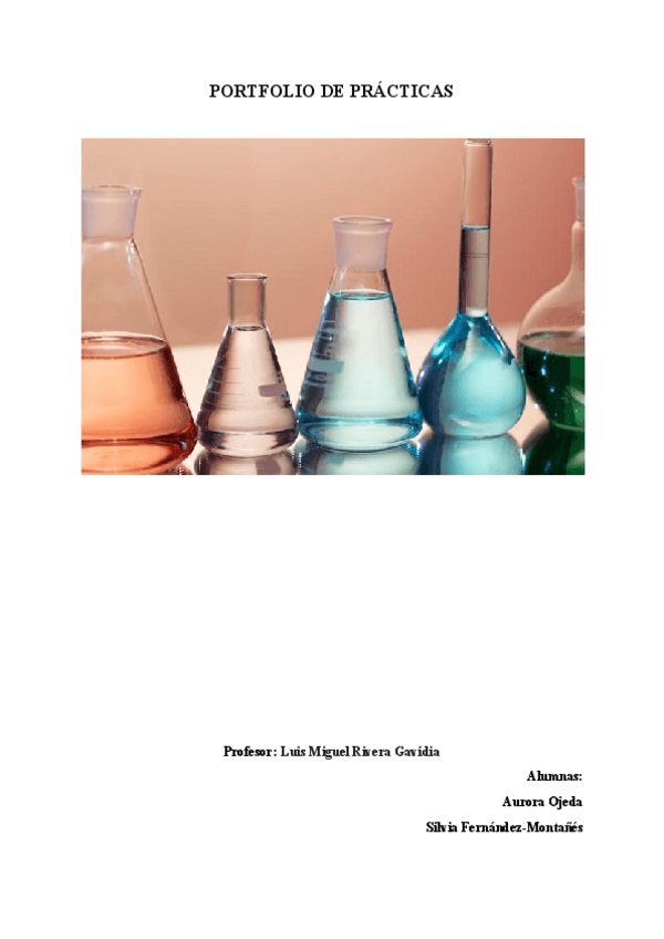 Miniatura del documento Portfolio-de-Practicas-Fisica.pdf