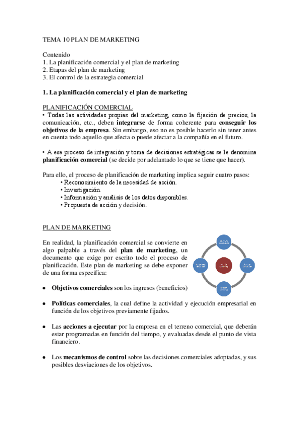 Miniatura del documento TEMA-10-PLAN-DE-MARKETING.pdf