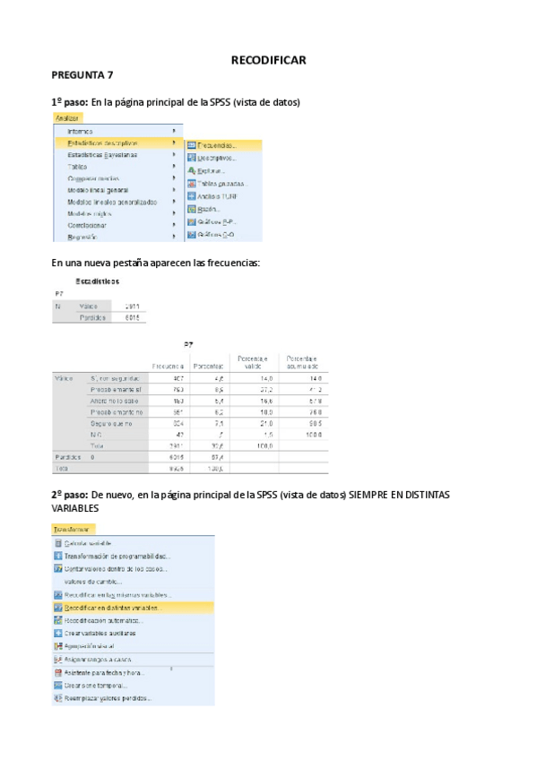 Miniatura del documento recodificar SPSS.pdf