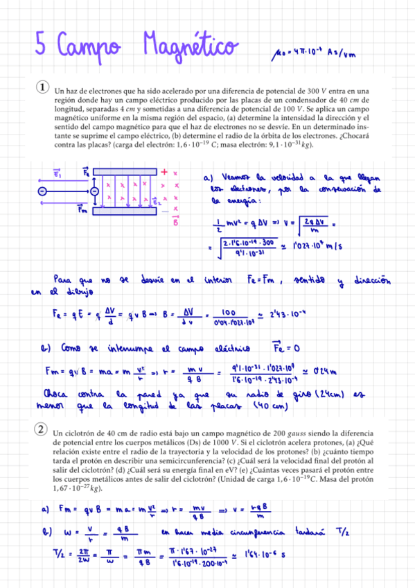 Miniatura del documento 5_Campo_Magnetico.pdf