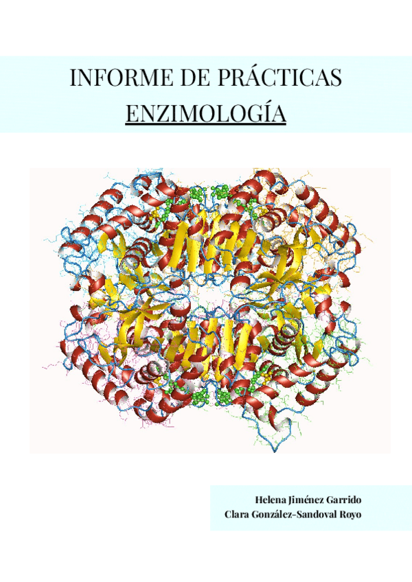 Miniatura del documento INFORME-ENZIMO.pdf