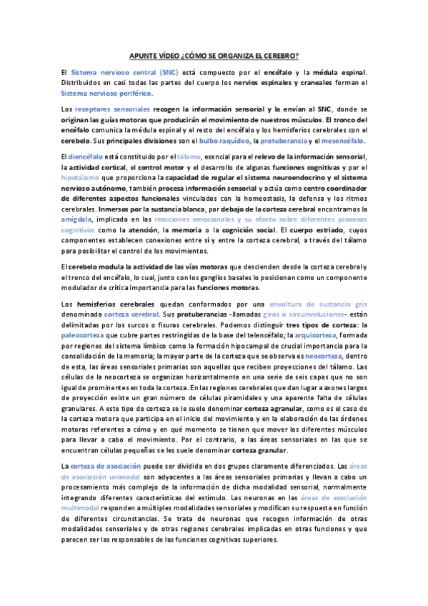 Miniatura del documento Apuntes-como-se-organiza-el-cerebro.pdf