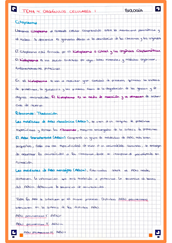 Miniatura del documento Tema4.pdf