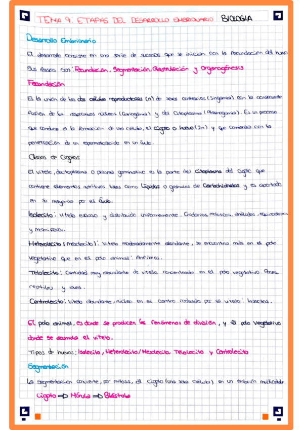 Miniatura del documento Tema9.pdf