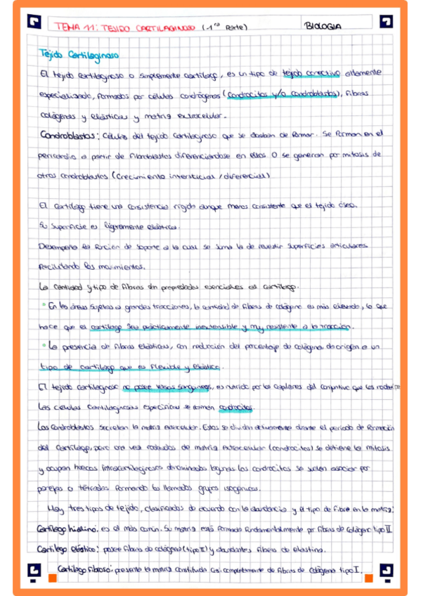 Miniatura del documento Tema11.pdf