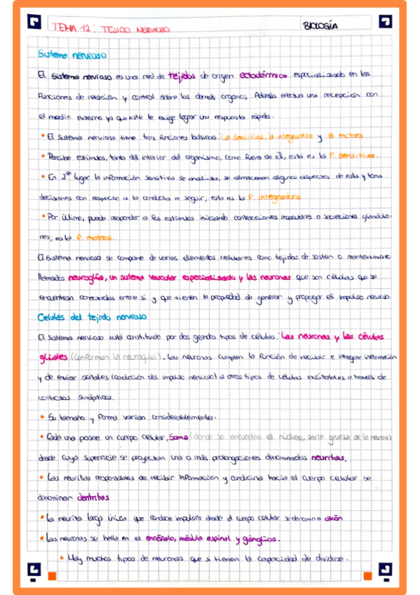 Miniatura del documento Tema12.pdf