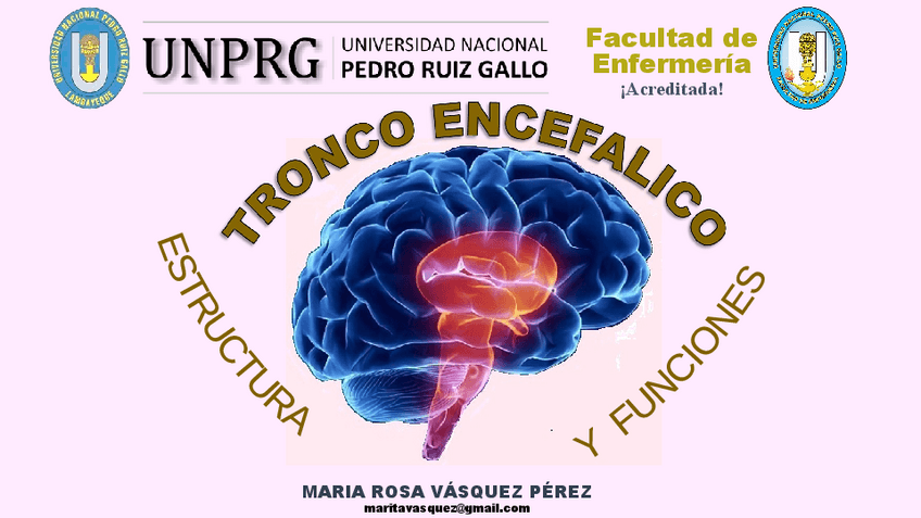 Miniatura del documento Tronco-Encefalico.pdf