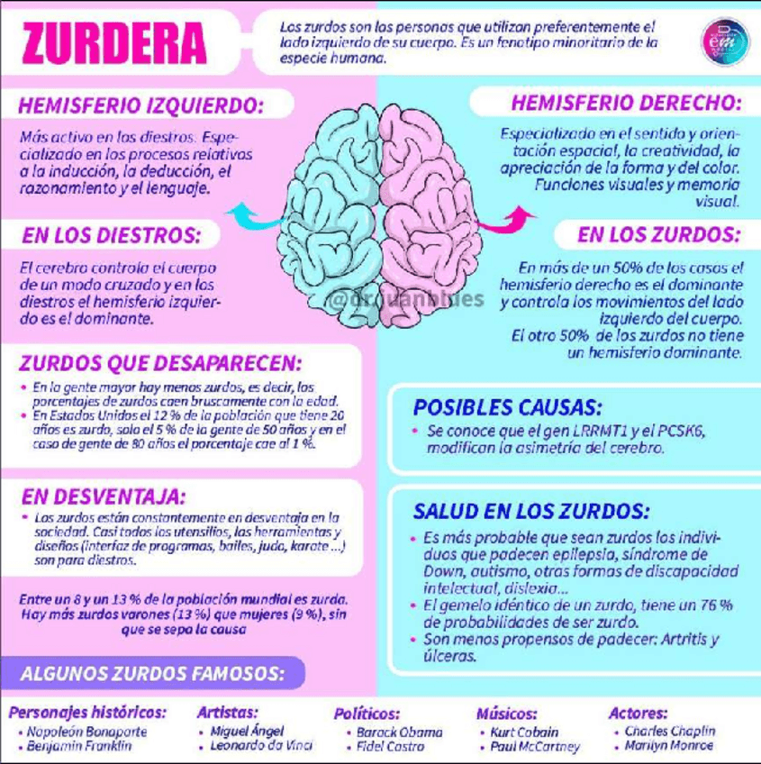 Miniatura del documento ZURDERA.pdf