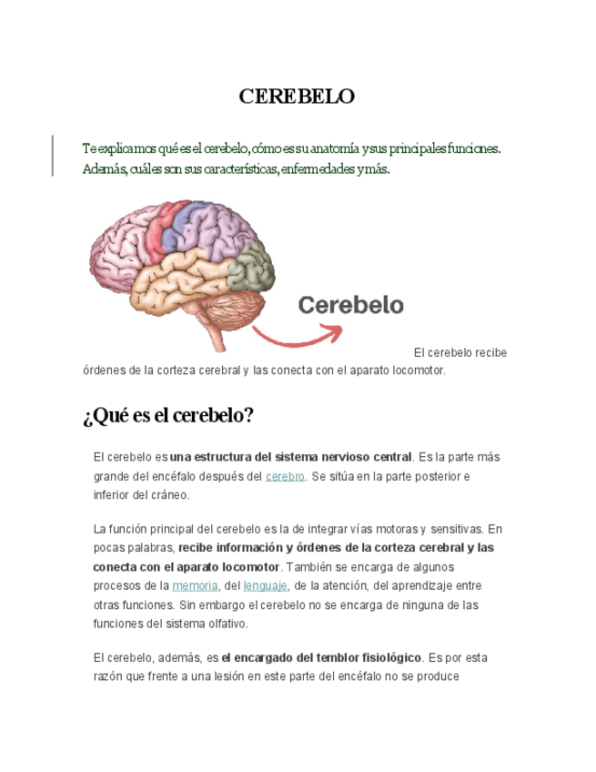 Miniatura del documento CEREBELO.pdf