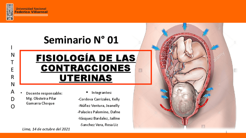 Miniatura del documento Fisiologia-de-La-Contraccion-Uterina-2.pdf