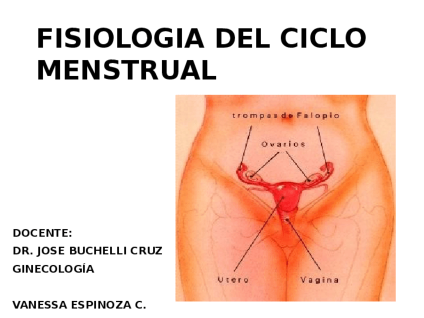 Miniatura del documento Fisiologia-Del-Ciclo-Menstrual.pdf