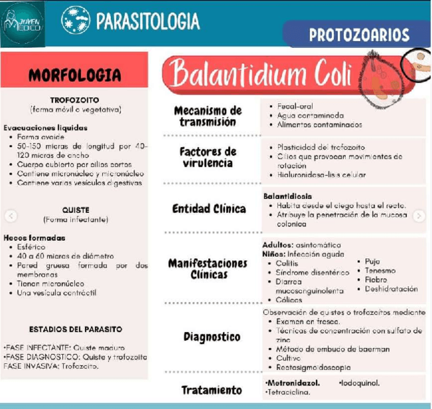 Miniatura del documento BALANTIDIUM-COLI.pdf