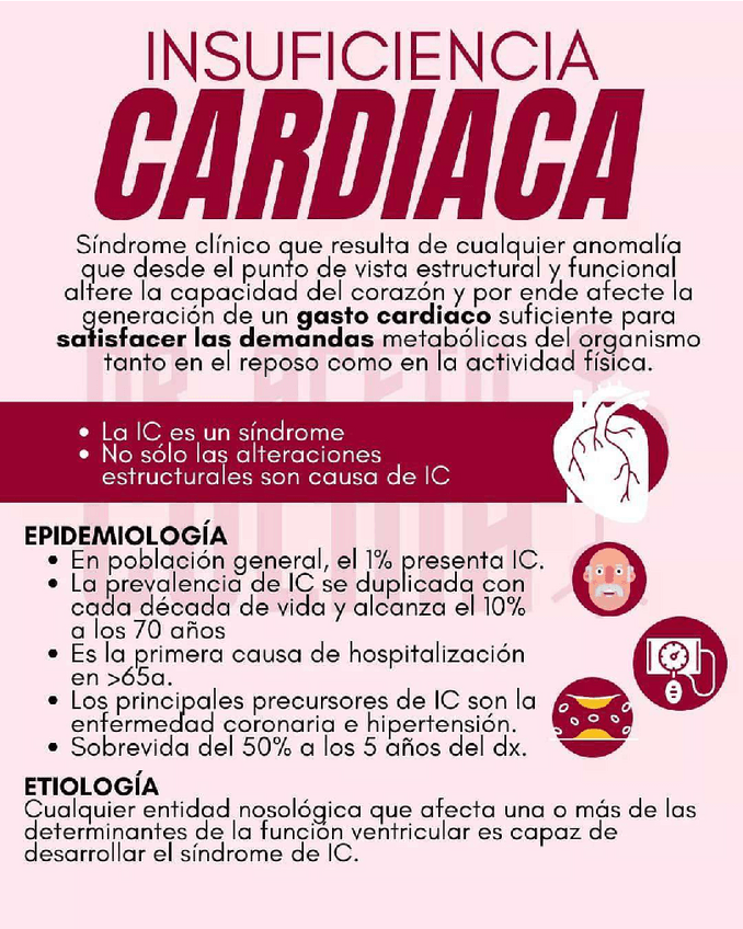 Miniatura del documento Insuficiencia-Cardiaca.pdf