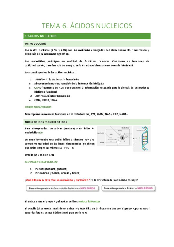 Miniatura del documento Tema-6-acidos-nucleicos.pdf