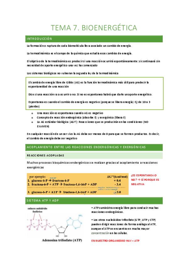 Miniatura del documento TEMA-7-bioenergetica.pdf