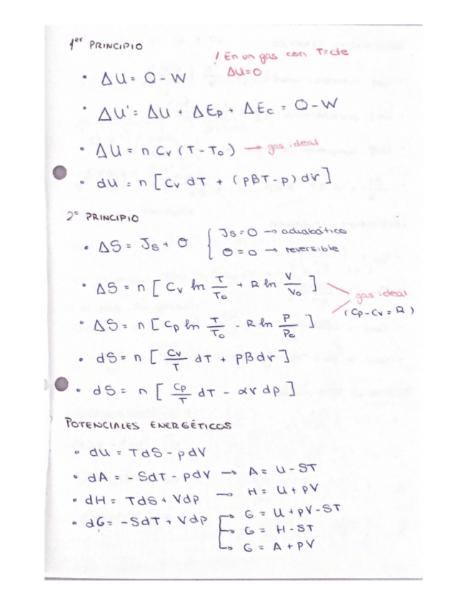 Miniatura del documento FORMULARIO-COMPLETO-TERMO.pdf