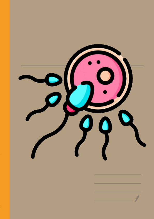 Miniatura del documento Tema-2.pdf