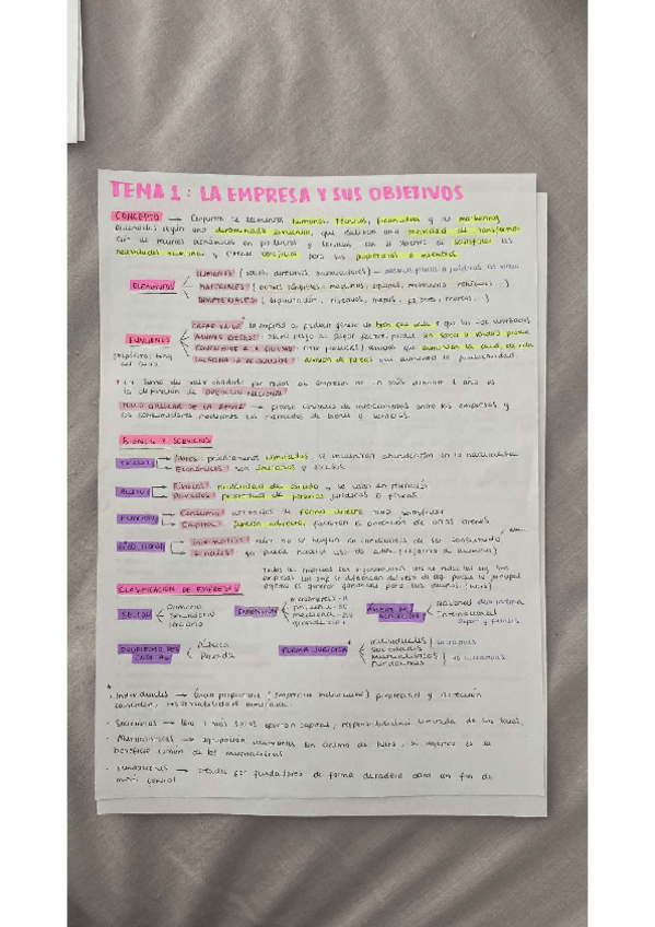 Miniatura del documento TEMA-1-EMPRESA-1.pdf