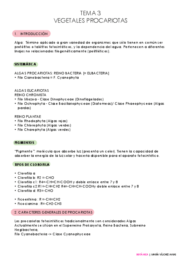 Miniatura del documento TEMA-3-BOTANICA.pdf