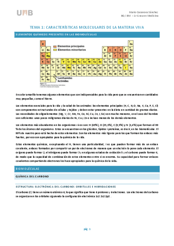 Miniatura del documento BQ-estructural-1P-Mario-Casanova.pdf