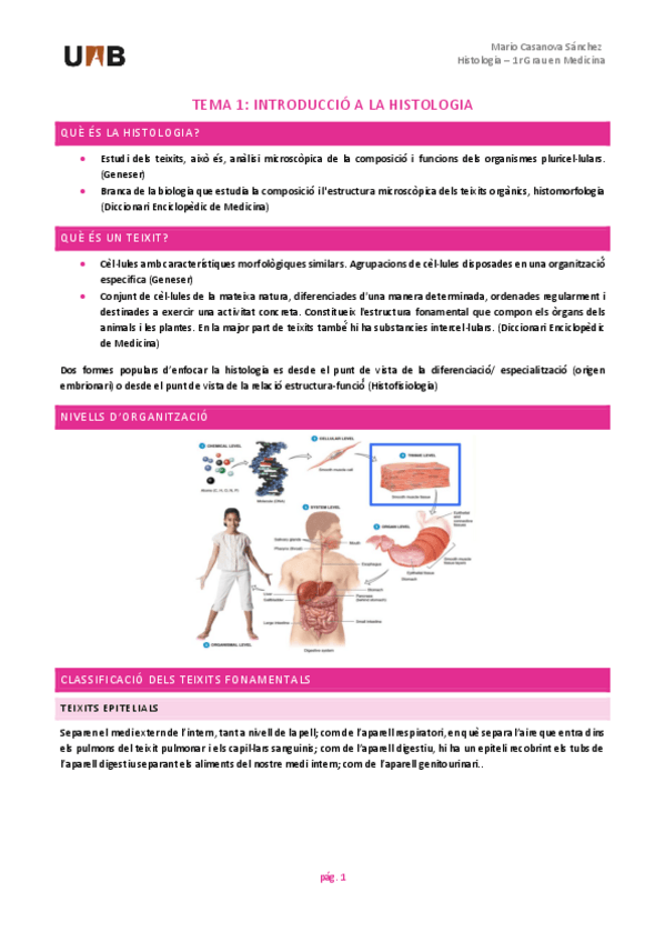 Miniatura del documento Histo-Mario-Casanova-fins-t-muscular.pdf