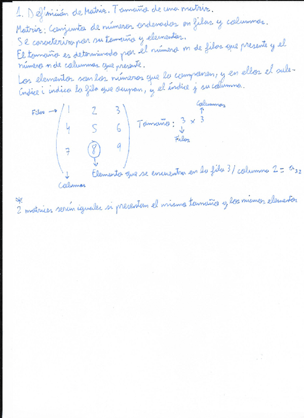 Miniatura del documento Tema-1-y-2.-Matrices-y-determinantes..pdf