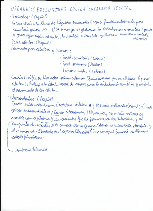 Miniatura del documento Organulos-eucariota-vegetal.pdf