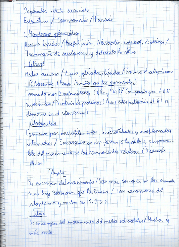 Miniatura del documento Organulos-eucariotas.pdf