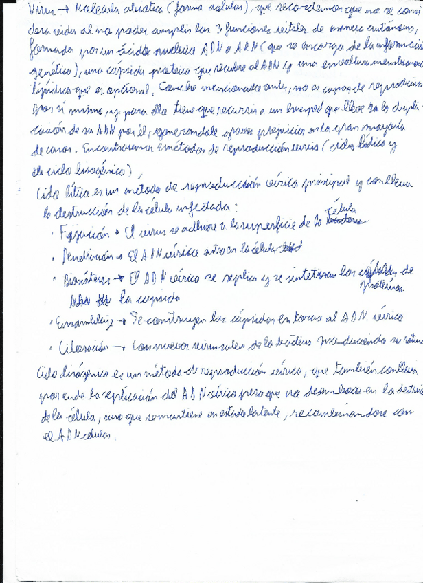 Miniatura del documento Virus.pdf