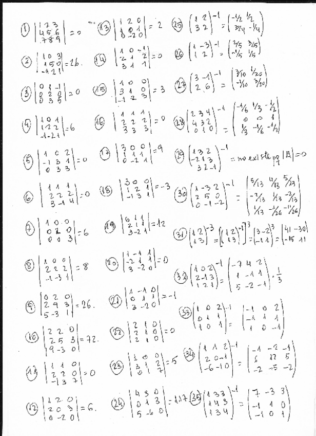 Miniatura del documento Determinantes.pdf