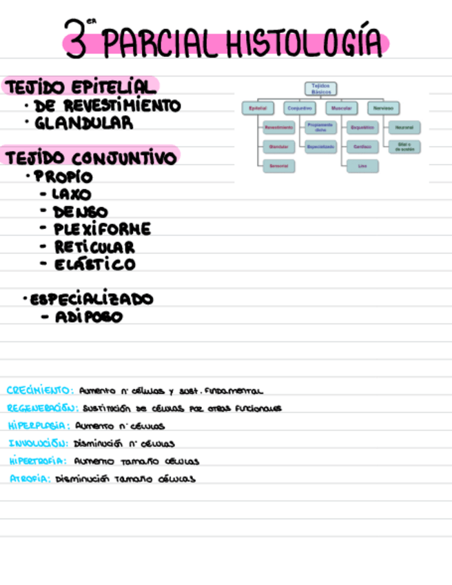Miniatura del documento 3-PARCIAL-biocel.pdf