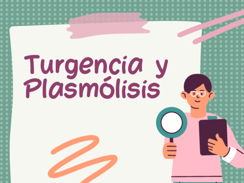 Miniatura del documento Guia-de-laboratotio-plasmolisis-y-turgencia.pdf