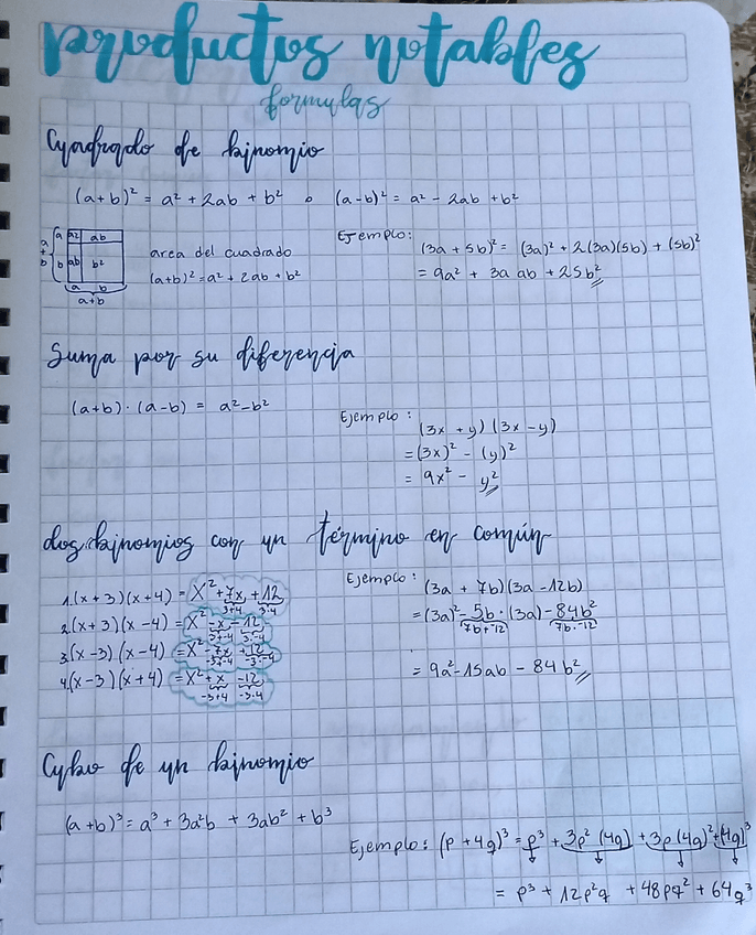 Miniatura del documento Productos-notables.jpg