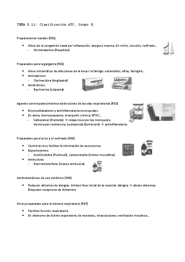 Miniatura del documento TEMA-8.11-Grupo-R.pdf